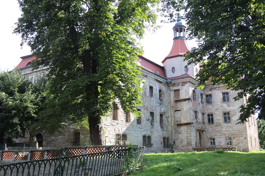 Zamek w Domanicach